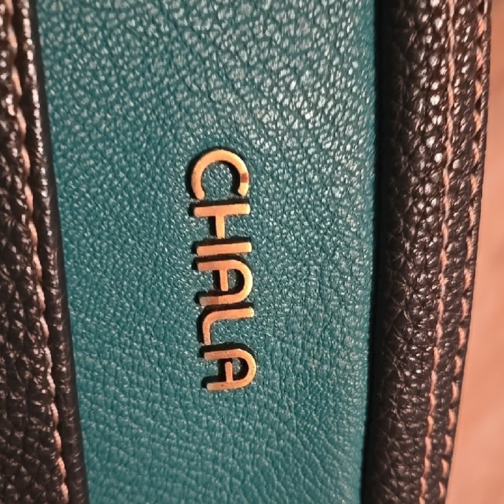 Chala Dark Brown and Teal Turtle Crossbody Bag - Picture 11 of 12